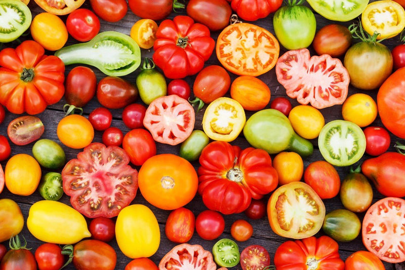 The Joy of Summertime Tomatoes: A Celebration of Flavor and Versatility - THE SPICE & TEA SHOPPE