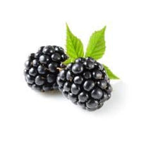 Gourmet Foods - Blackberry Aged Balsamic Vinegar - THE SPICE & TEA SHOPPE