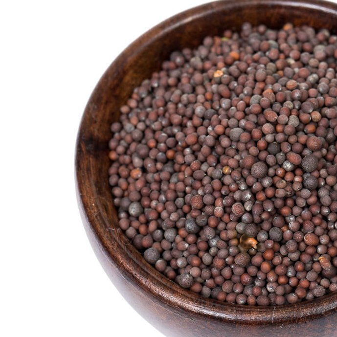 Herbs & Spices - Brown Mustard Seeds - THE SPICE & TEA SHOPPE