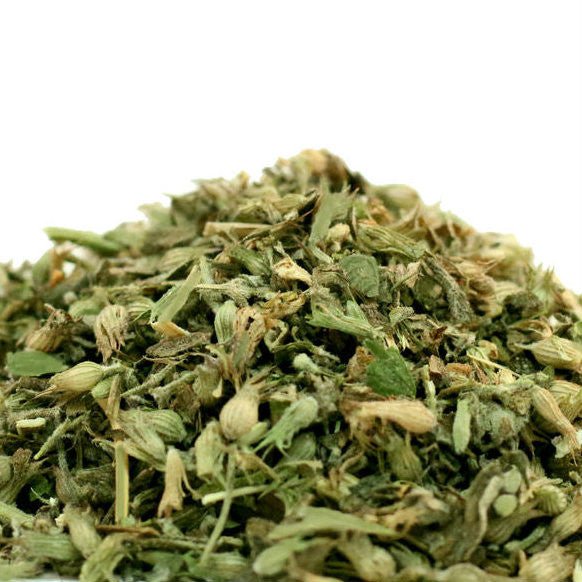 Herbal Tea - Catnip - THE SPICE & TEA SHOPPE
