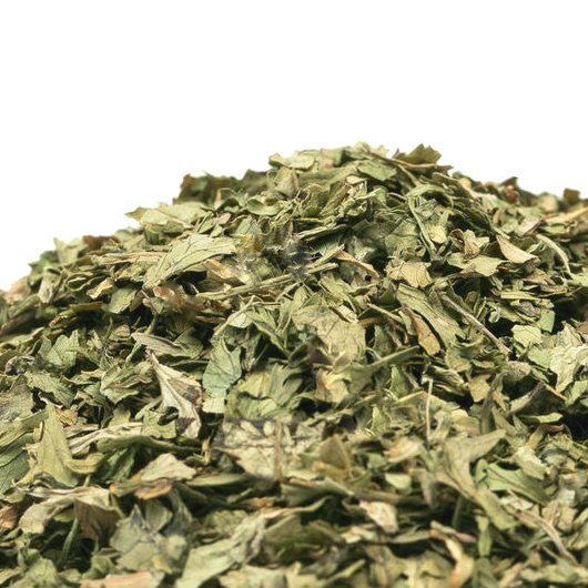Herbs & Spices - Cilantro - THE SPICE & TEA SHOPPE