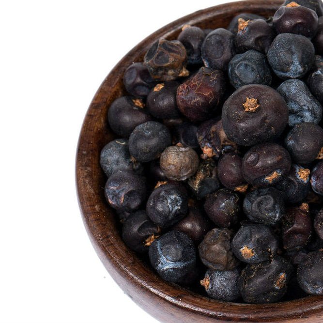Herbs & Spices - Juniper Berries - THE SPICE & TEA SHOPPE