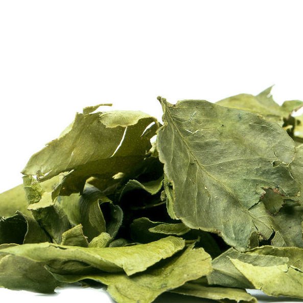 Herbs & Spices - Makrut Lime Leaves - THE SPICE & TEA SHOPPE