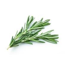 Gourmet Foods - Rosemary Extra Virgin Olive Oil - THE SPICE & TEA SHOPPE
