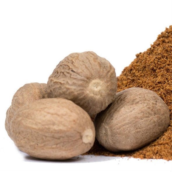 Herbs & Spices - Whole Nutmeg - Grenada Nutmeg - THE SPICE & TEA SHOPPE